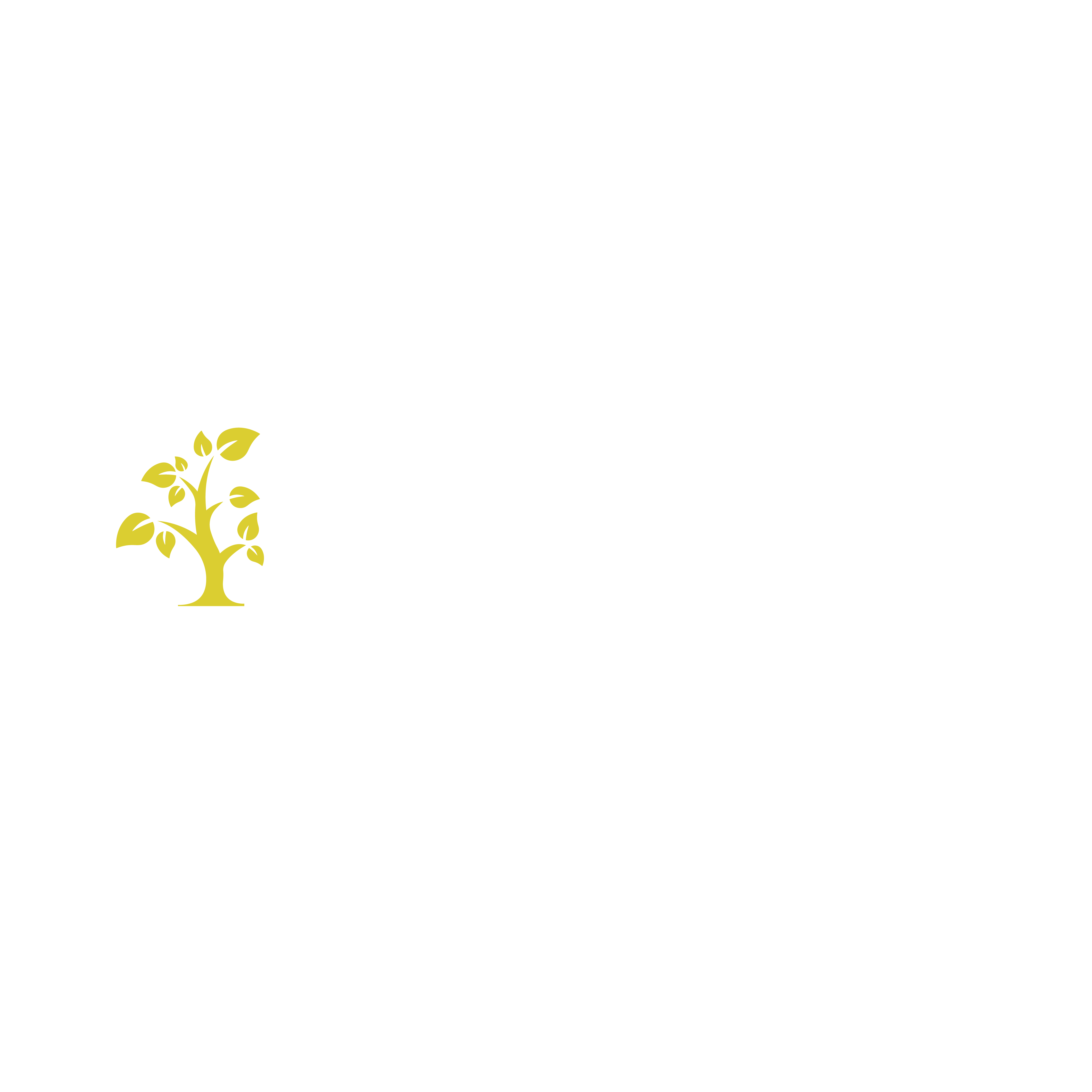 La Primavera de San Isidro